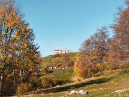 federicorudariarchitetto
