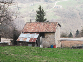 federicorudariarchitetto